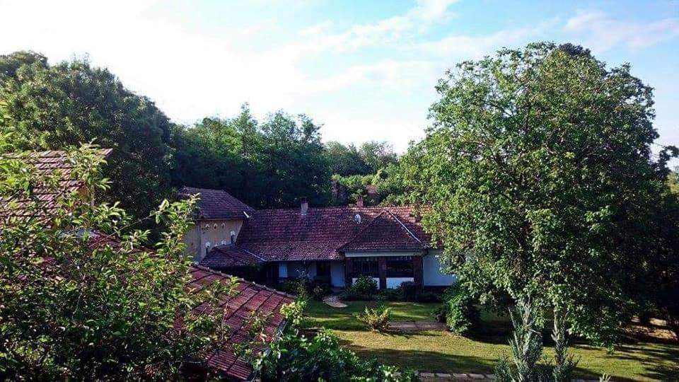 Villa Nyugalomsziget Kotcse Exterior foto